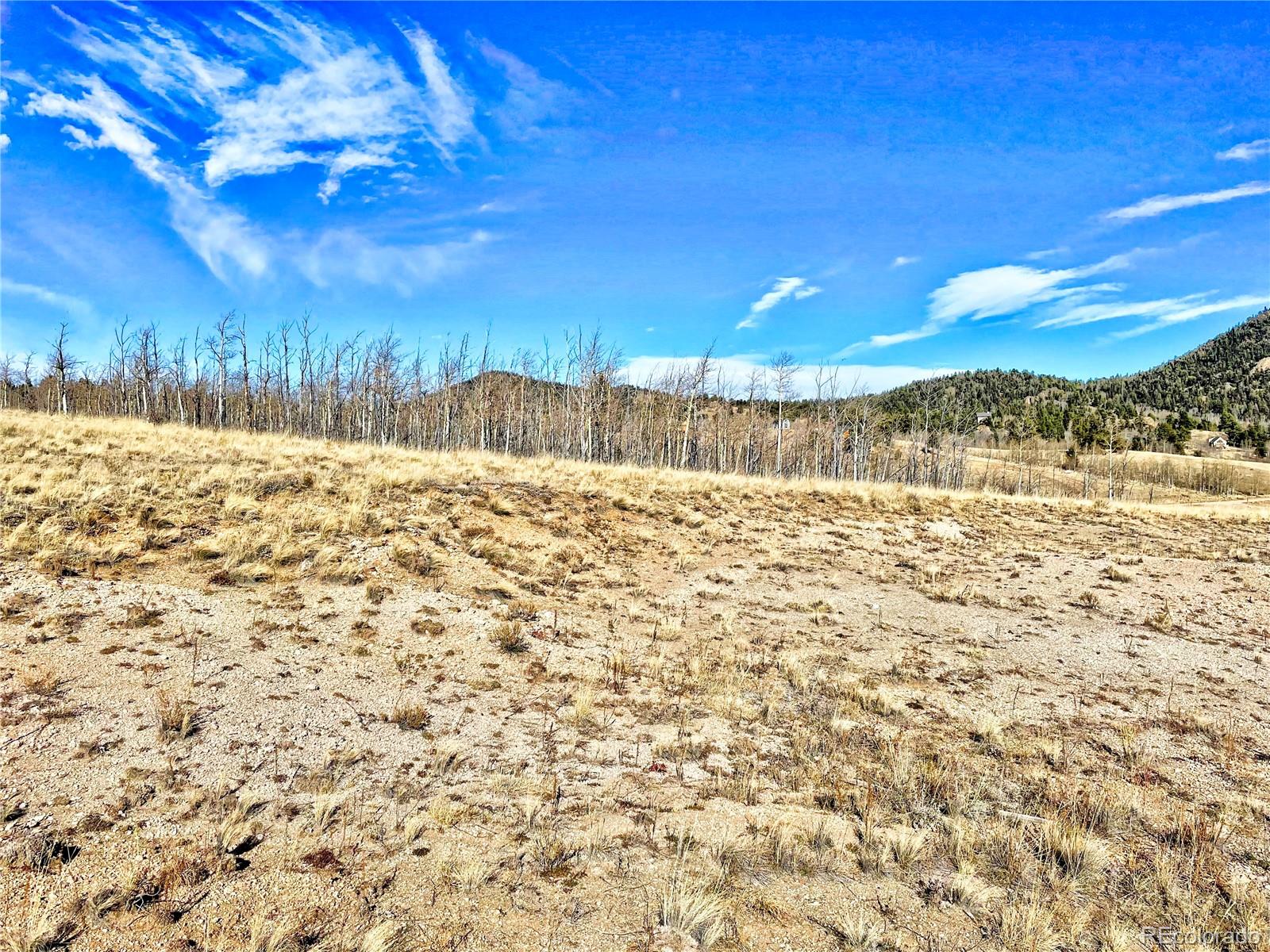 559 Warrior Circle Como, CO 80432 - Photo 7 of 10 a view of an outdoor space and a yard