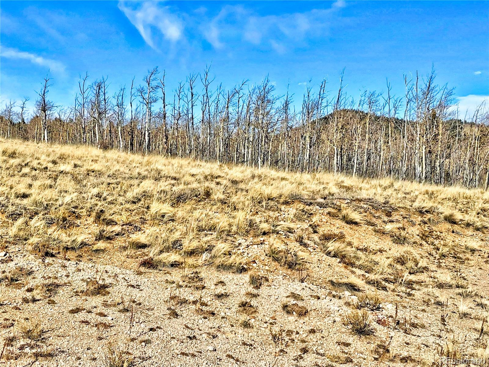 559 Warrior Circle Como, CO 80432 - Photo 8 of 10 a view of a yard covered with snow