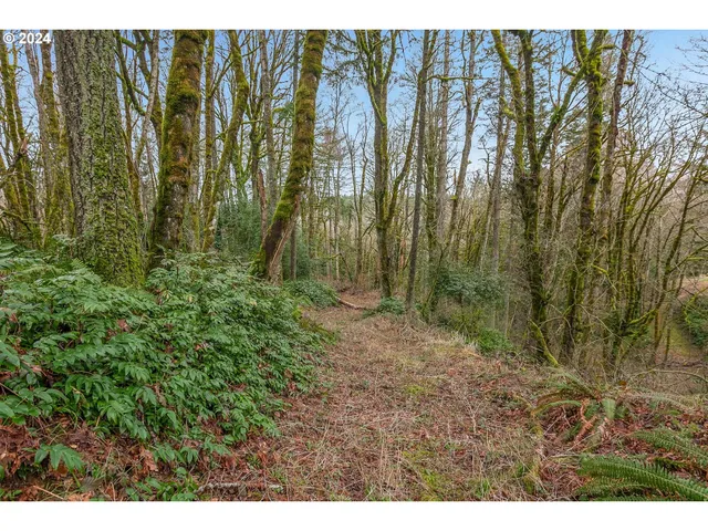 a view of a yard with lots of green space