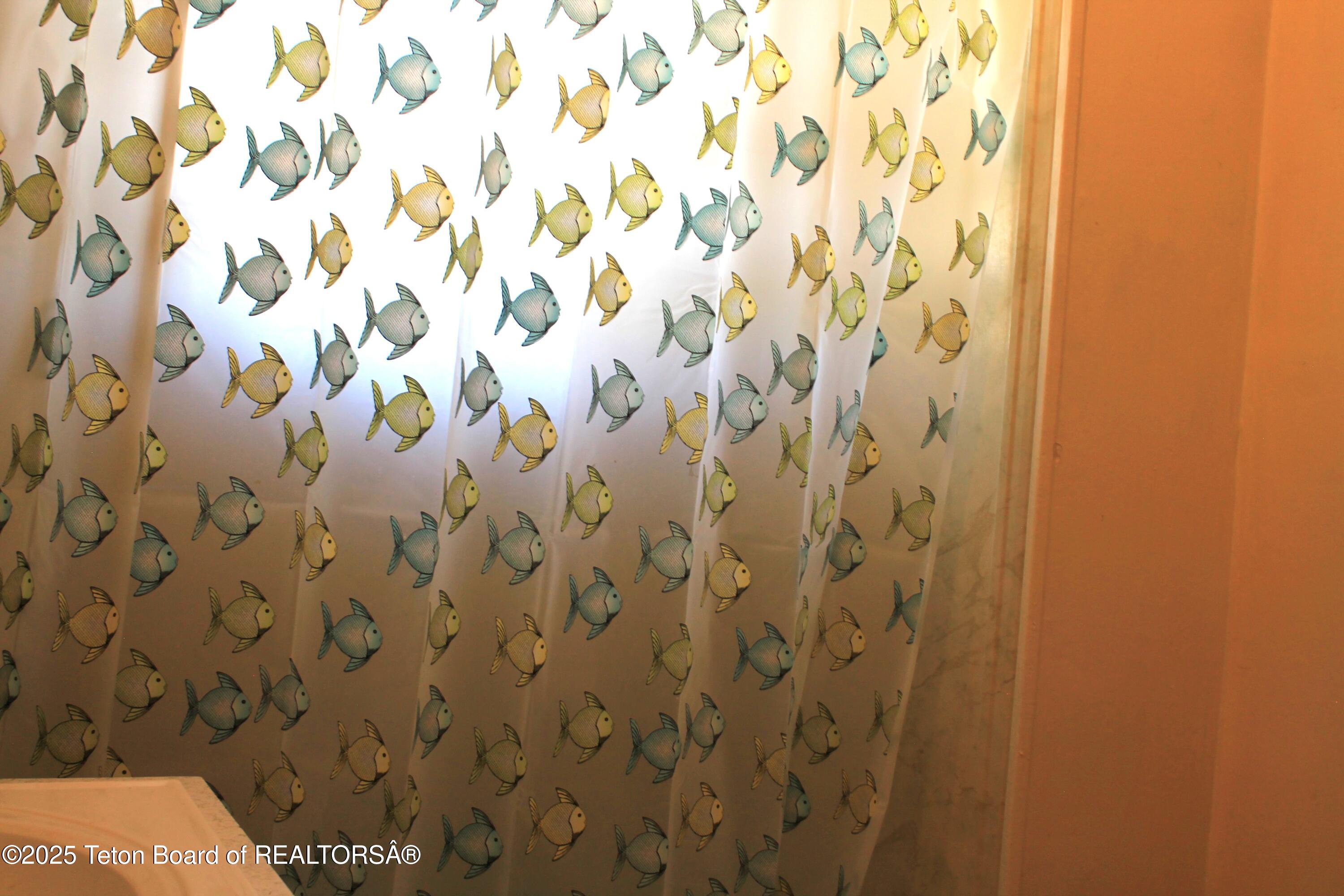 216 East Birch Creek Drive La Barge, WY 83123 - Photo 20 of 21 IMG_5259