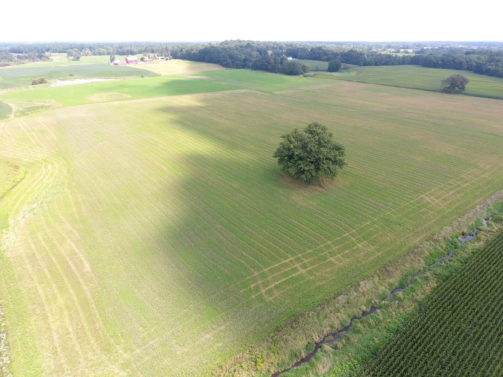 12035 West Ellsworth Road Chelsea, MI 48118 - Photo 12 of 30 DJI_0019
