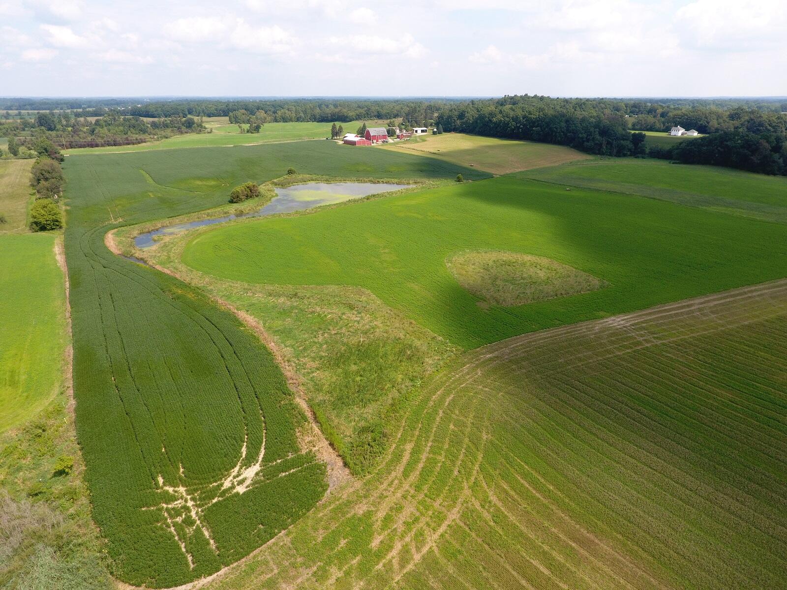 12035 West Ellsworth Road Chelsea, MI 48118 - Photo 13 of 30 DJI_0020
