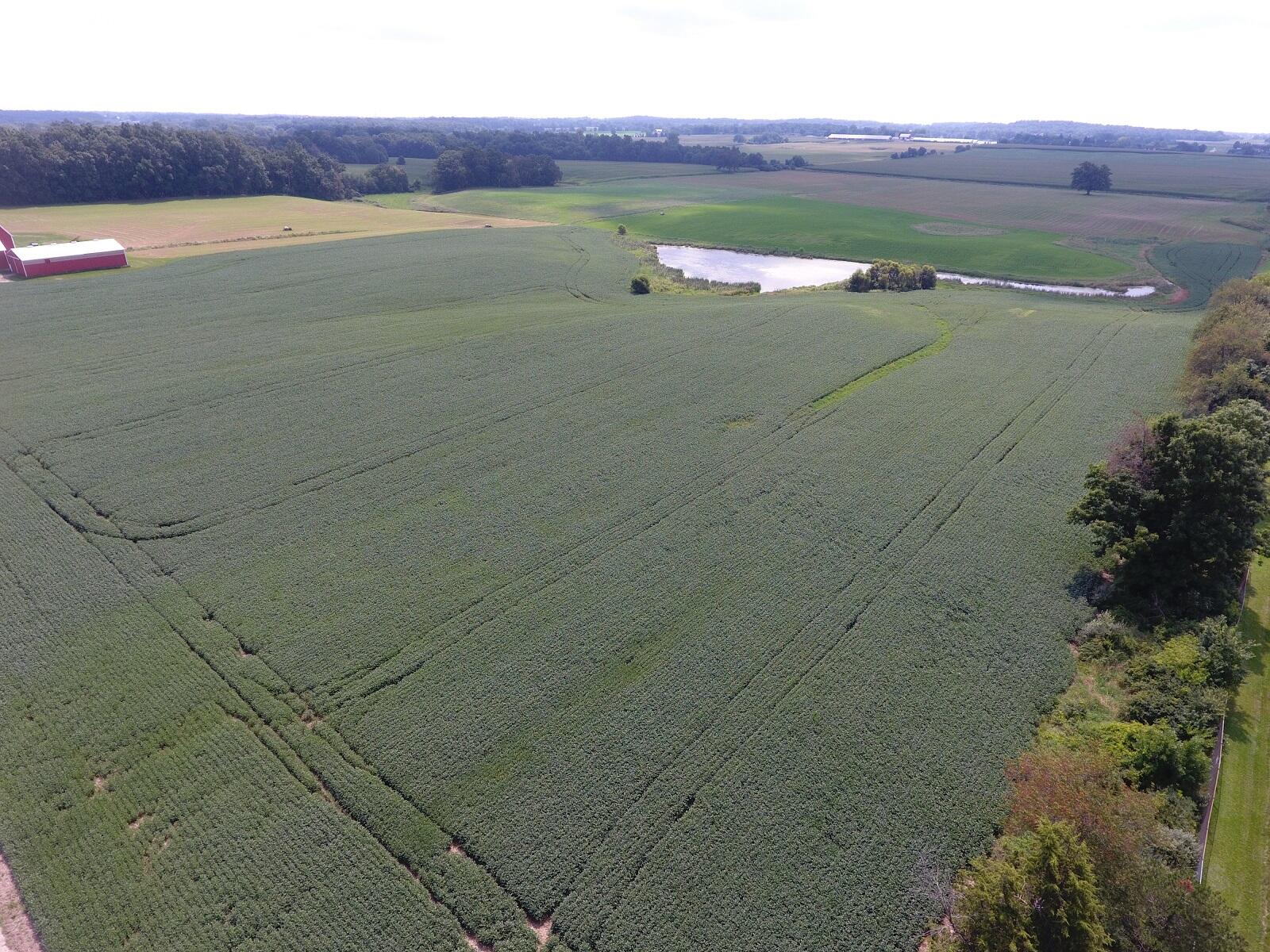 12035 West Ellsworth Road Chelsea, MI 48118 - Photo 15 of 30 DJI_0022
