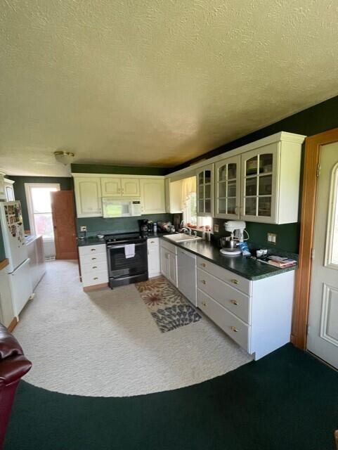 12035 West Ellsworth Road Chelsea, MI 48118 - Photo 19 of 30 2