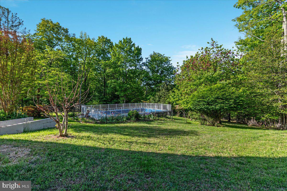146 Lizzie Mills Road Castleton, VA 22716 - Photo 41 of 91