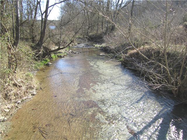 0 Diana Ridge Road Cornersville, TN 37047 - Photo 3 of 9 Creek runing across the front of this propertyat the road frontage.