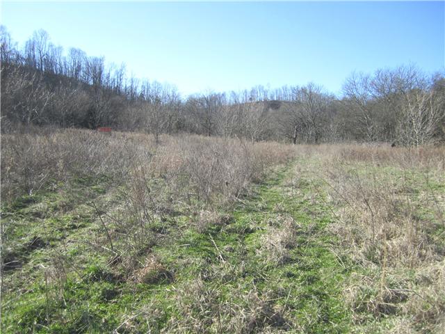 0 Diana Ridge Road Cornersville, TN 37047 - Photo 6 of 9 Pasture & Old Roadbed leading to the Shop