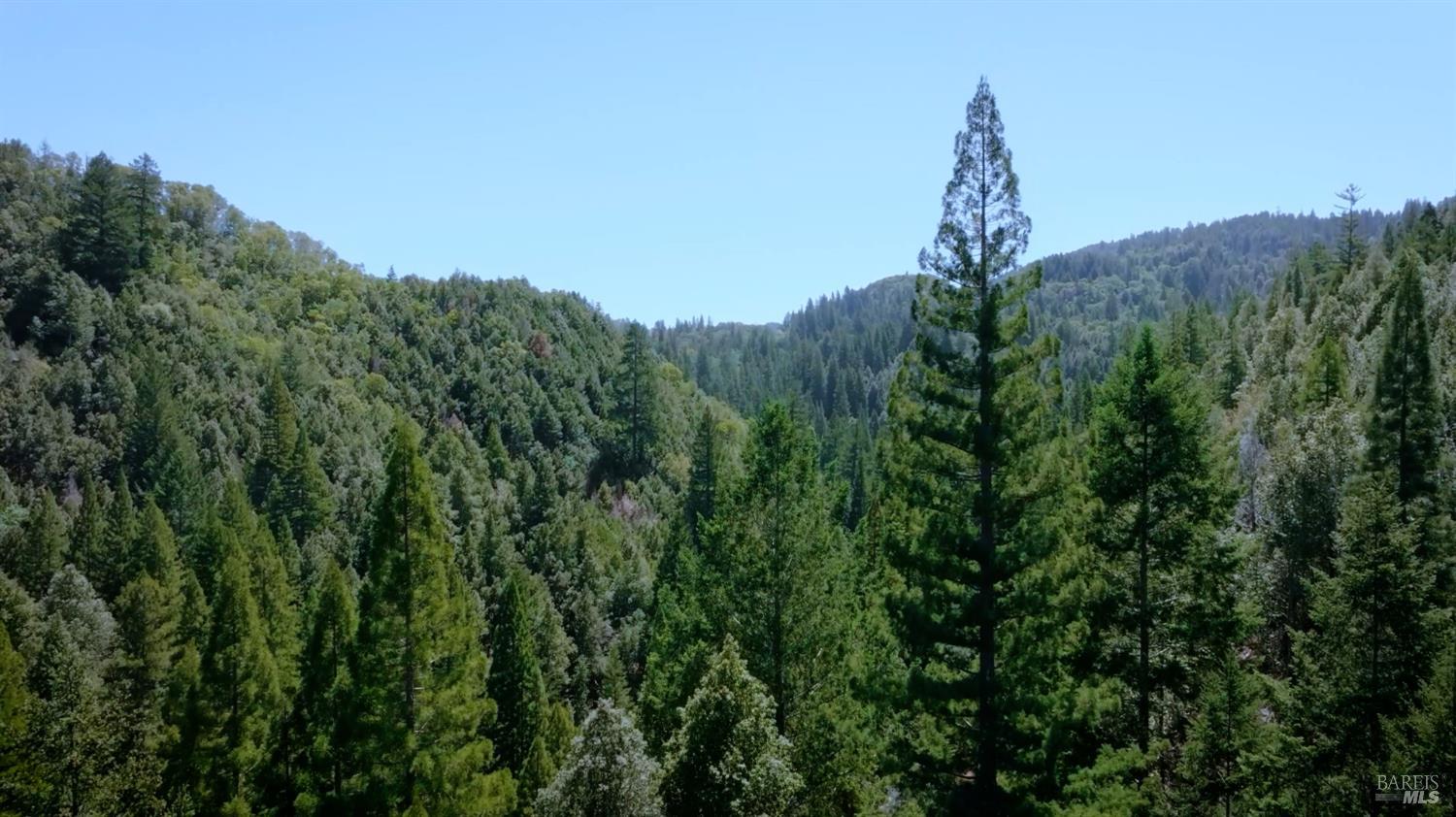 21530 Fort Ross Road Cazadero, CA 95421 - Photo 45 of 56