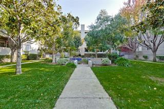 22330 Homestead Road, Unit 308 Cupertino, CA 95014 - Photo 34 of 35 Gallery Image 34