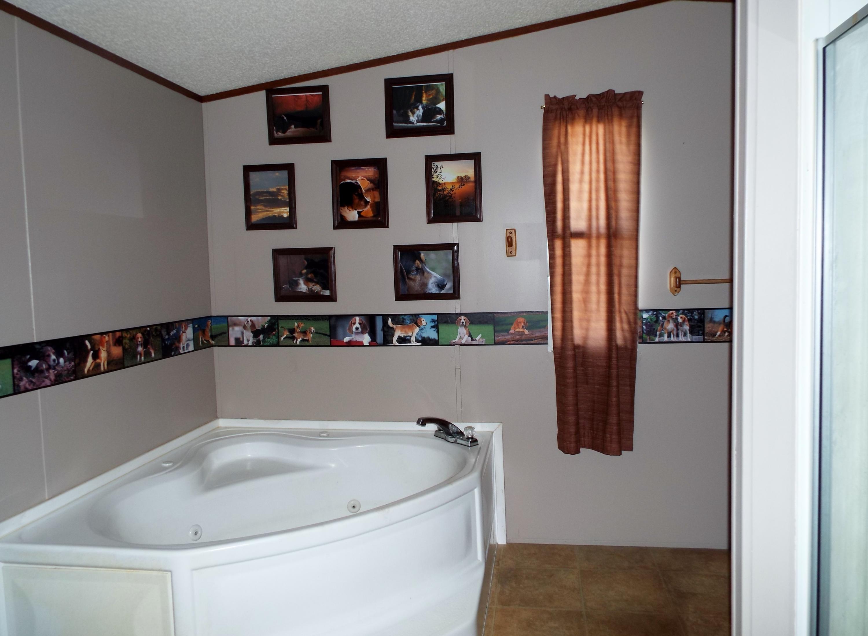 1107 Panther Branch Road Jamestown, TN 38556 - Photo 11 of 20 master bath