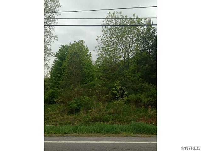 0 South Newstead Road Akron, NY 14001 - Photo 1 of 1 Exterior Front Land view from road
