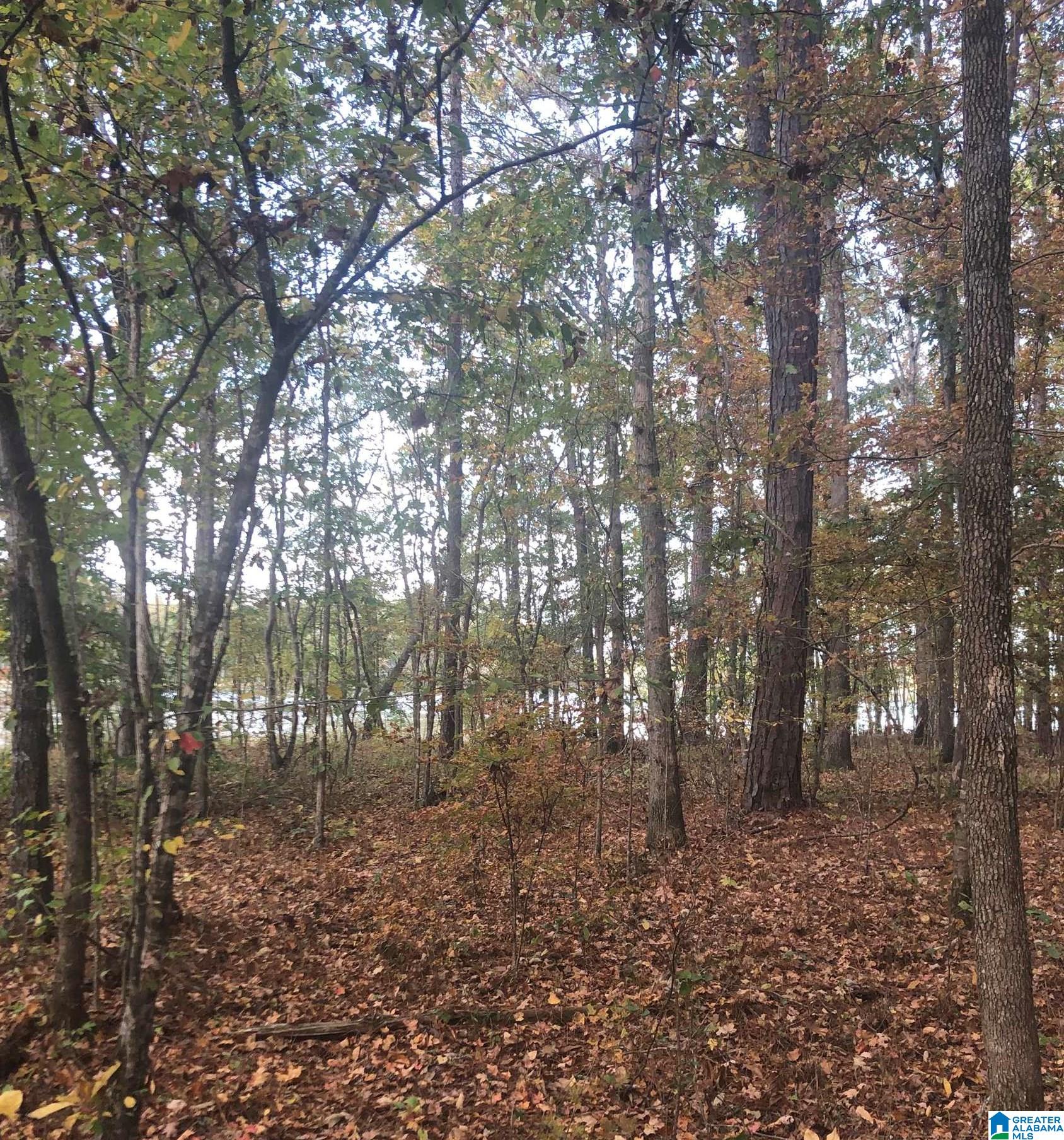 1 Higgins Road, Unit 1 Shelby, AL 35143 - Photo 8 of 21