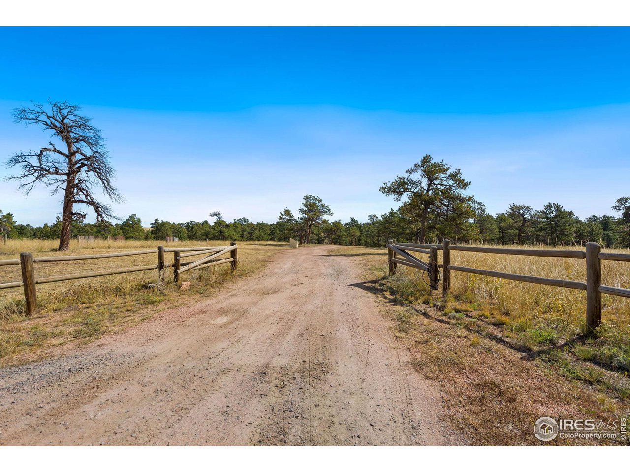 7770 Red Mountain Road Livermore, CO 80536 - Photo 22 of 36 a view of a yard with wooden fence