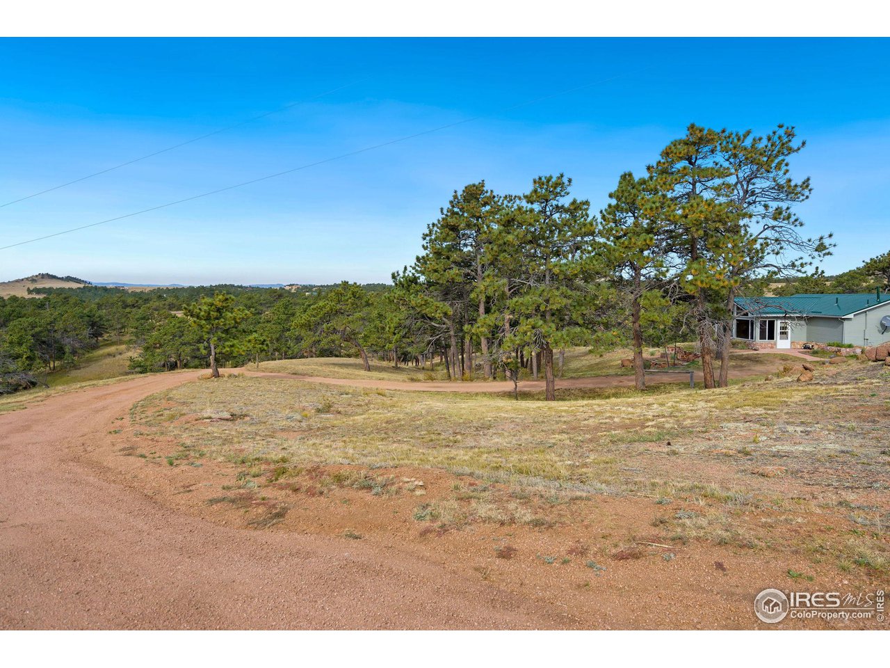 7770 Red Mountain Road Livermore, CO 80536 - Photo 3 of 36 a view of outdoor space and yard