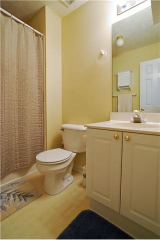 3015 Baby Ruth Lane Antioch, TN 37013 - Photo 6 of 10 Gallery Image 6