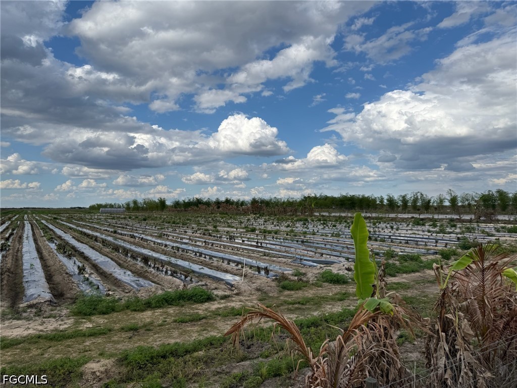 6550 1st Road LaBelle, FL 33935 - Photo 1 of 6