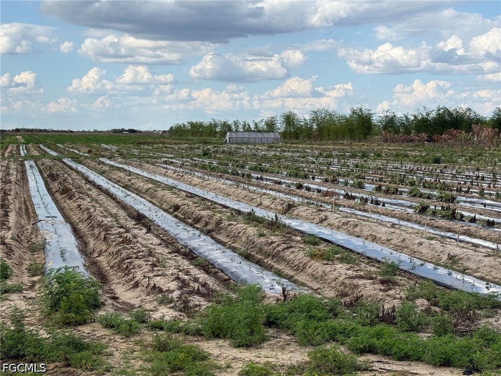 6550 1st Road LaBelle, FL 33935 - Photo 2 of 6