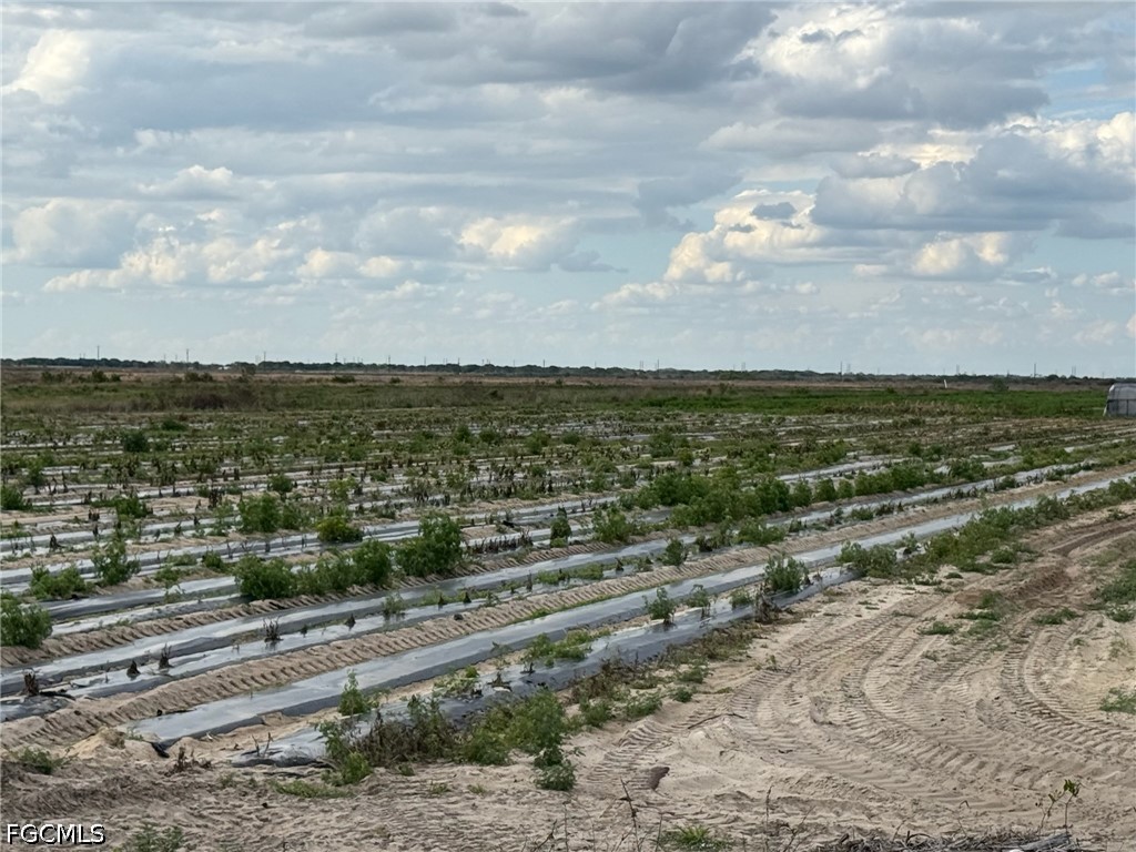 6550 1st Road LaBelle, FL 33935 - Photo 4 of 6