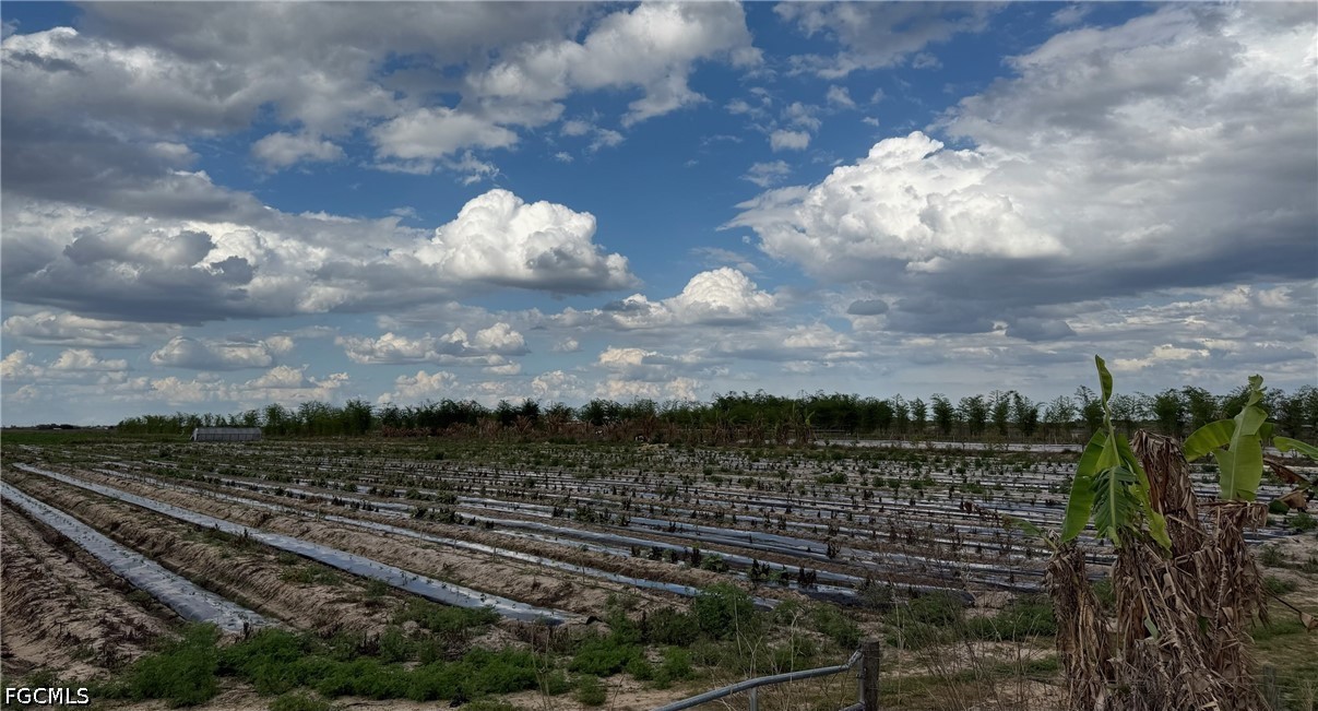 6550 1st Road LaBelle, FL 33935 - Photo 5 of 6