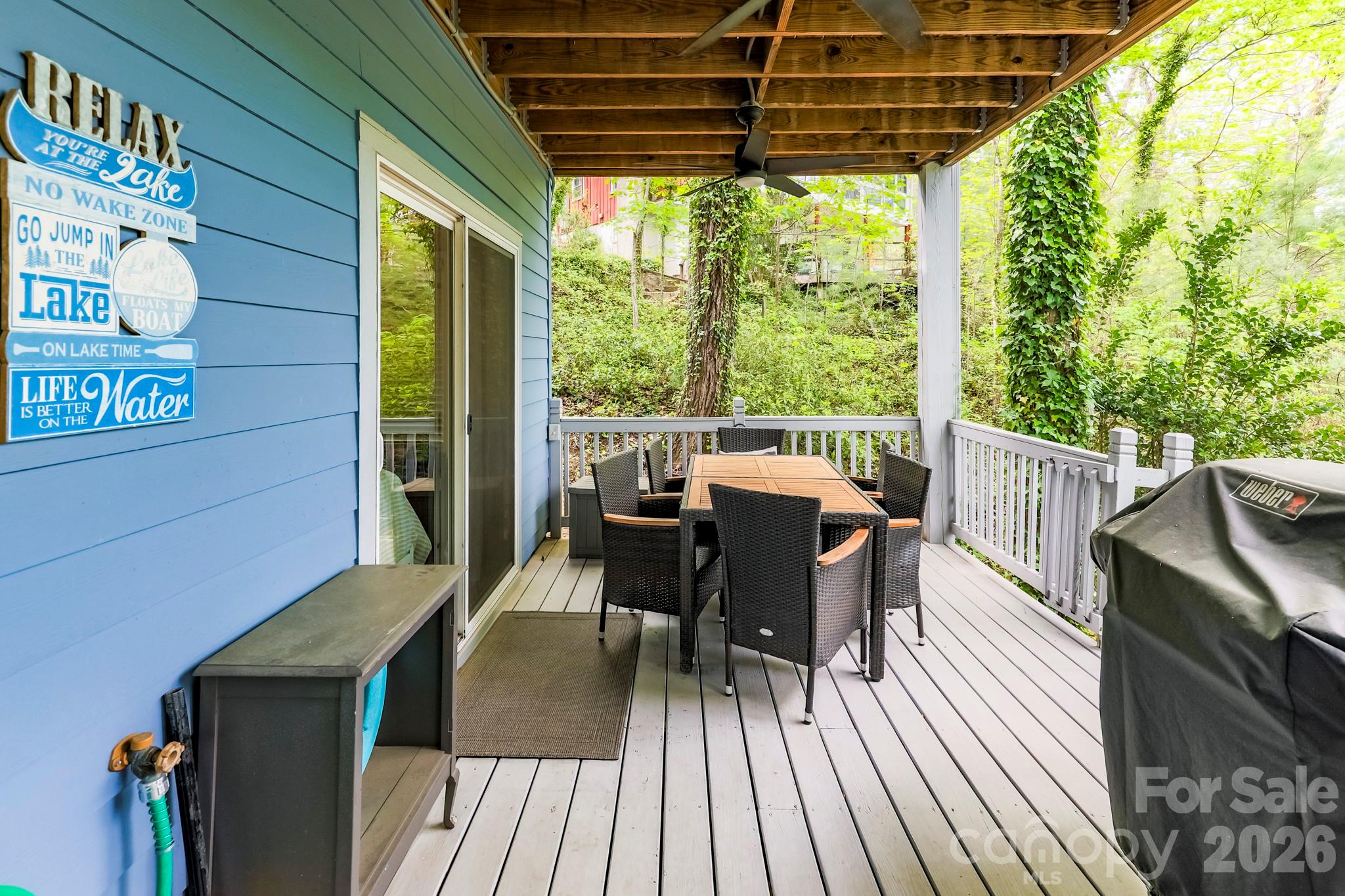 219 Picnic Point Road Lake Lure, NC 28746 - Photo 19 of 24