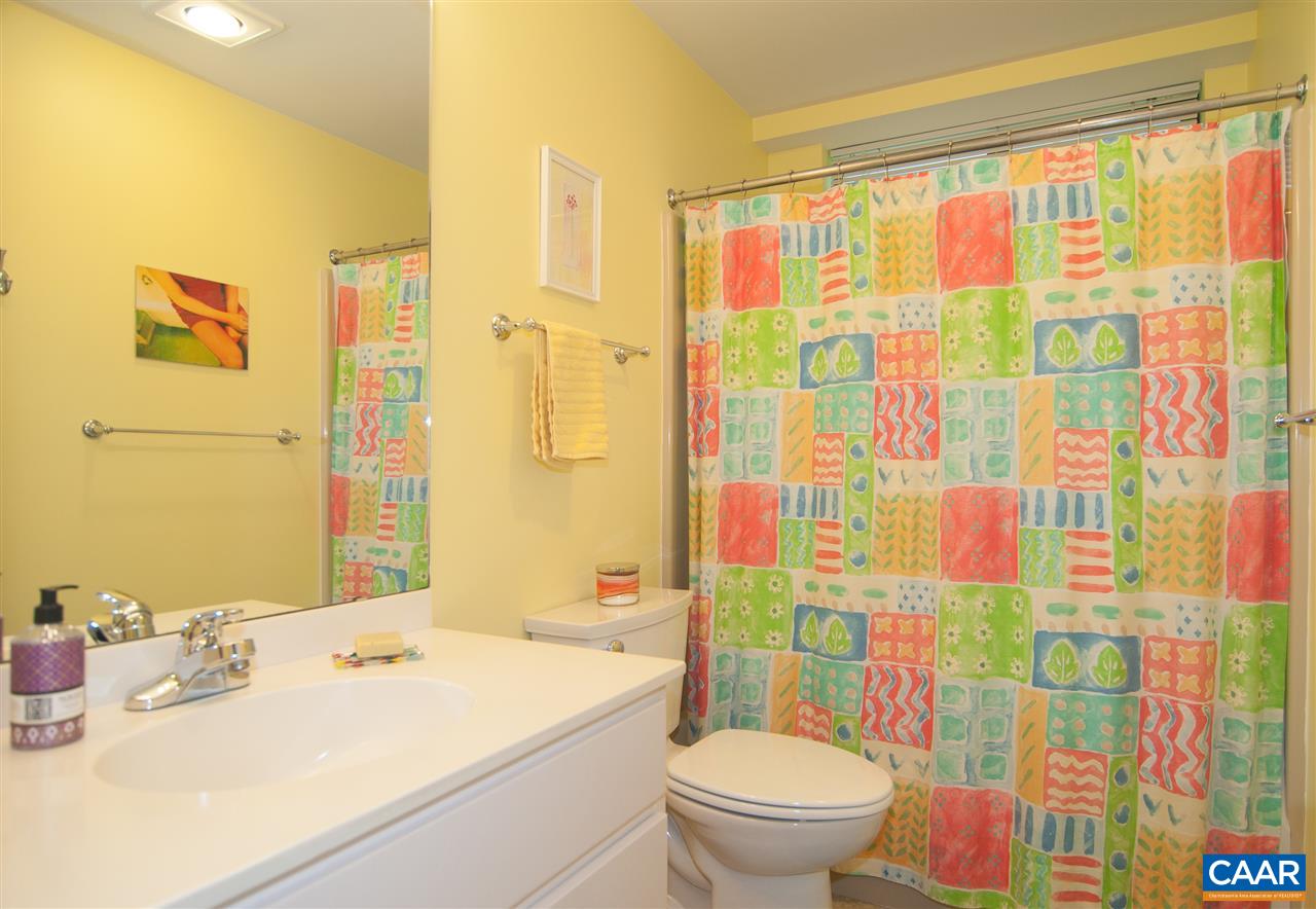 228 Turkey Ridge Road Charlottesville, VA 22903 - Photo 34 of 45 Gallery Image 34
