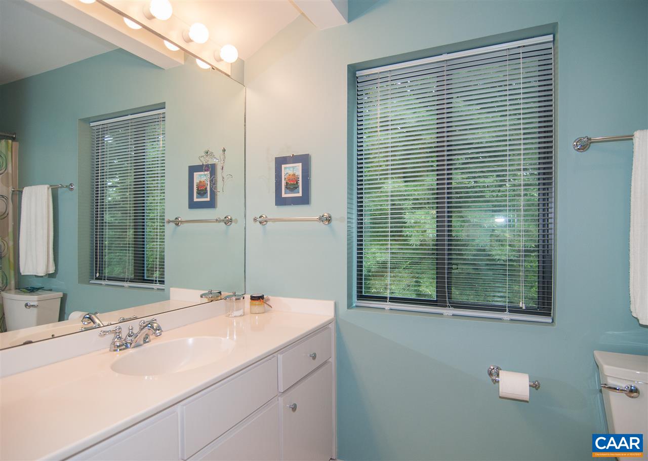 228 Turkey Ridge Road Charlottesville, VA 22903 - Photo 43 of 45 Gallery Image 43