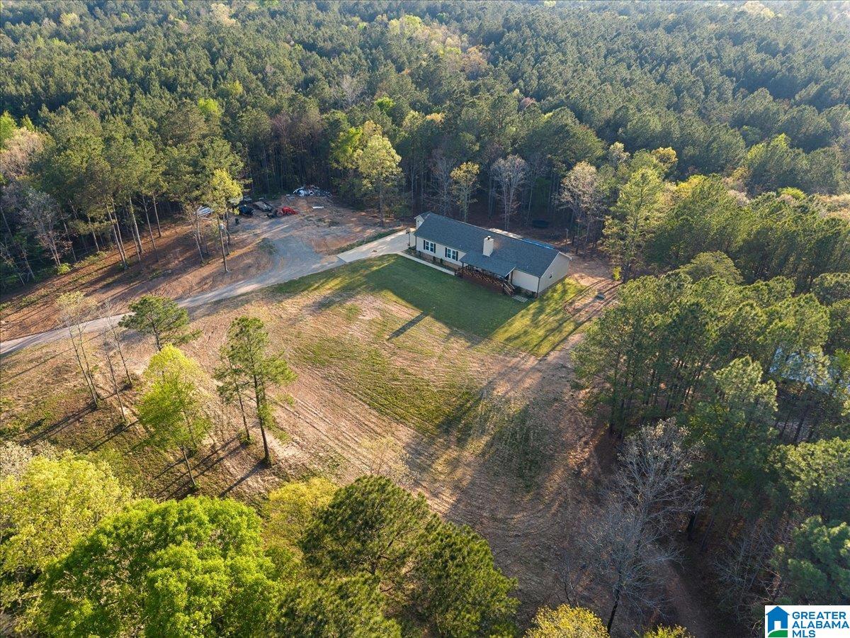1009 Deaver Walker Road Trafford, AL 35172 - Photo 33 of 39