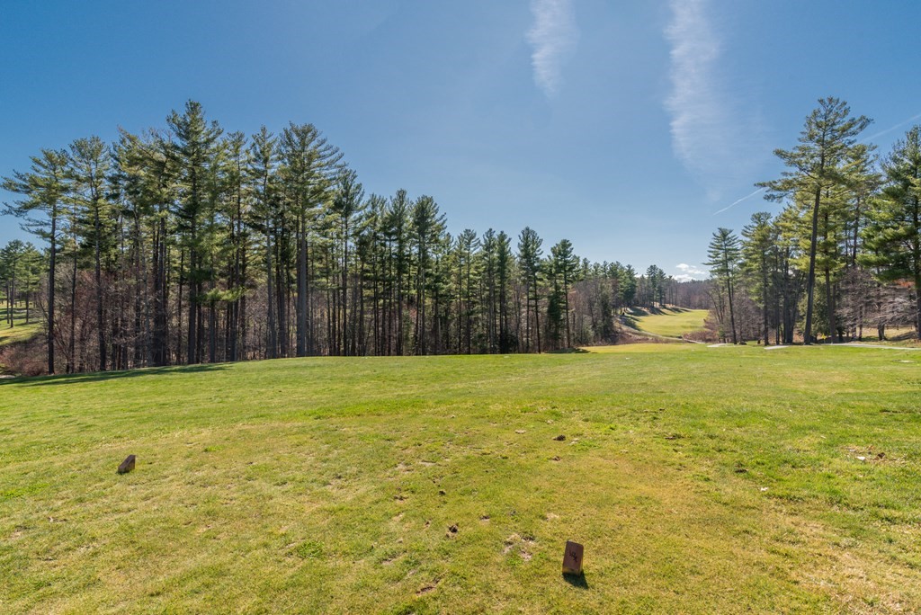 15 Spring Hill Road Acton, MA 01720 - Photo 12 of 22 a view of outdoor space and yard