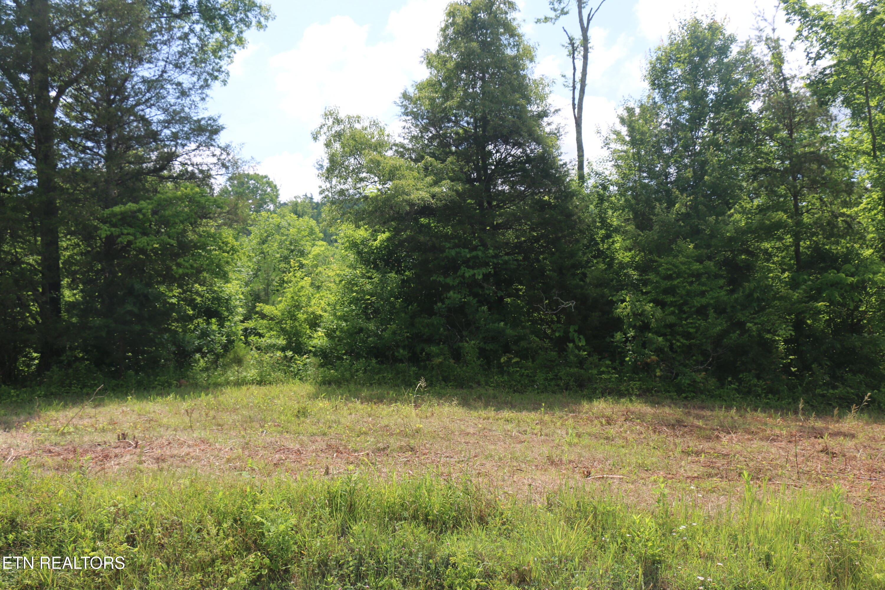 1 North Nopone Valley Road Decatur, TN 37322 - Photo 4 of 8 IMG_8454