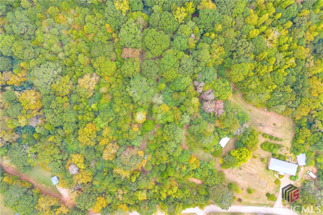 0 Cedar Nicholson, GA 30565 - Photo 6 of 17