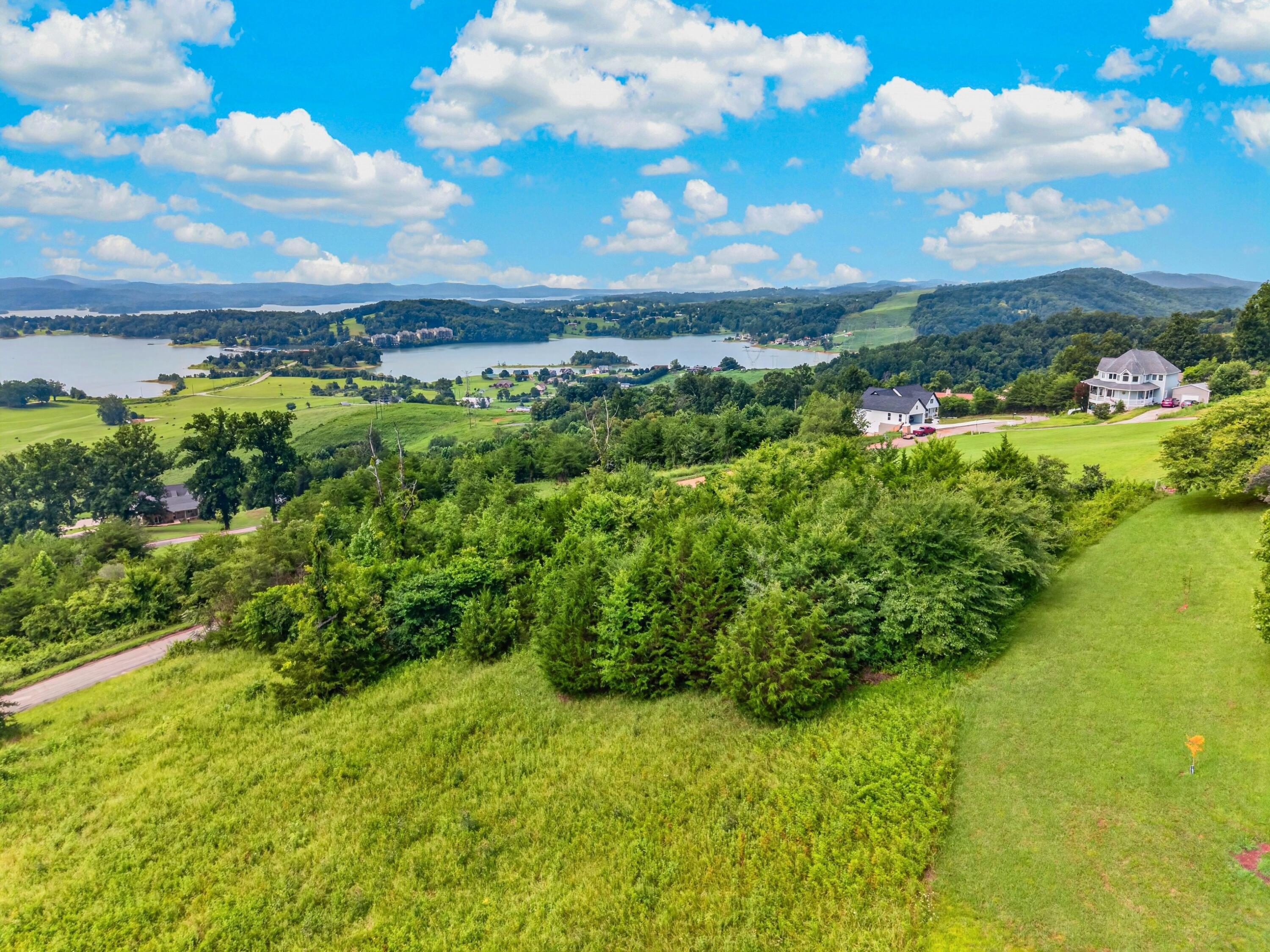 34 Logans Bluff, Unit 34 Bean Station, TN 37708 - Photo 7 of 13 006-LogansBluff-Lot34-BeanStation-TN-377