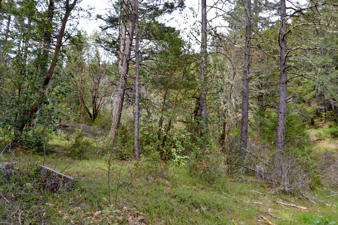R325787 Redwood Highway Wilderville, OR 97543 - Photo 1 of 6 DSC_3430