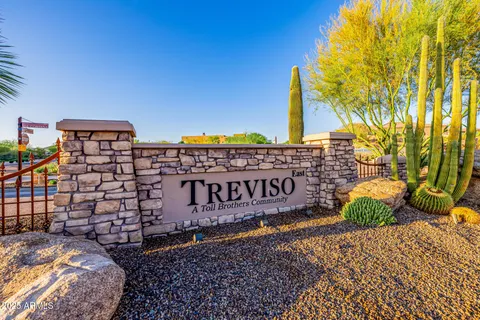 a view of a park with plants and trees