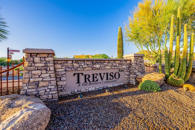 a view of a park with plants and trees