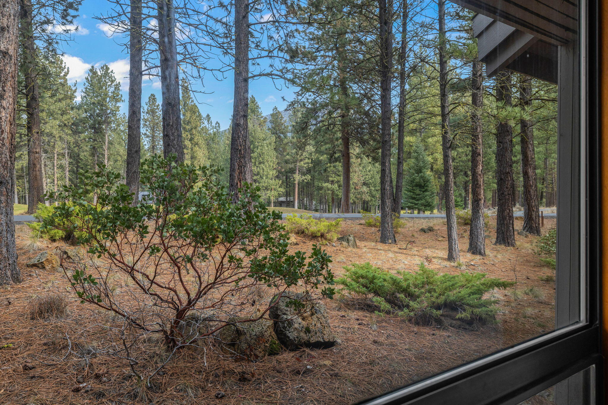 13168 Hawks Beard Black Butte Ranch, OR 97759 - Photo 17 of 47 a backyard of a house with lots of green space