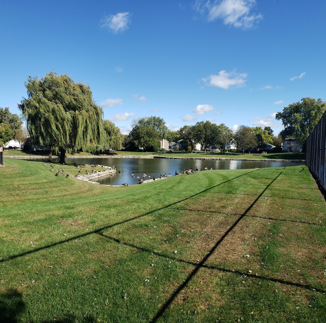 1150 Mt Vernon Court, Unit C Wheaton, IL 60189 - Photo 7 of 21 a view of a lake with houses in the background