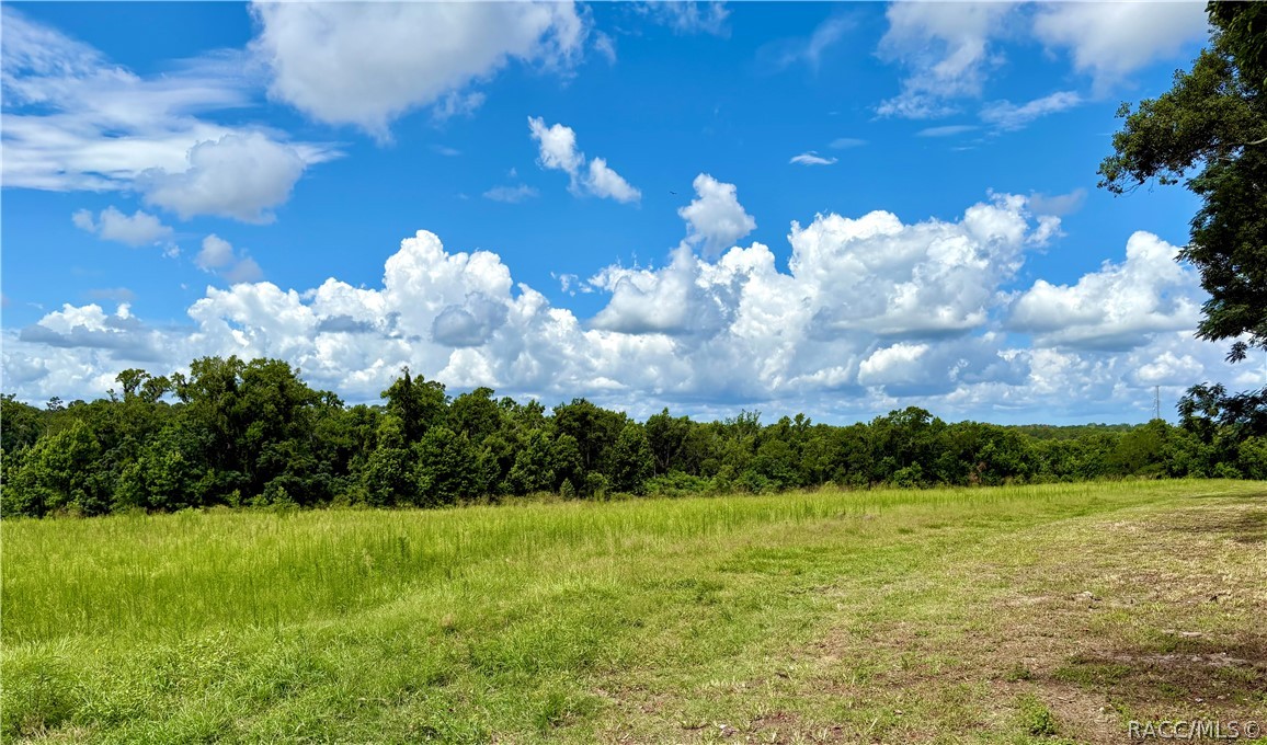 0 Old Spring Lake Road Brooksville, FL 34601 - Photo 2 of 2 a view of a bunch of flower plants and wooden fence