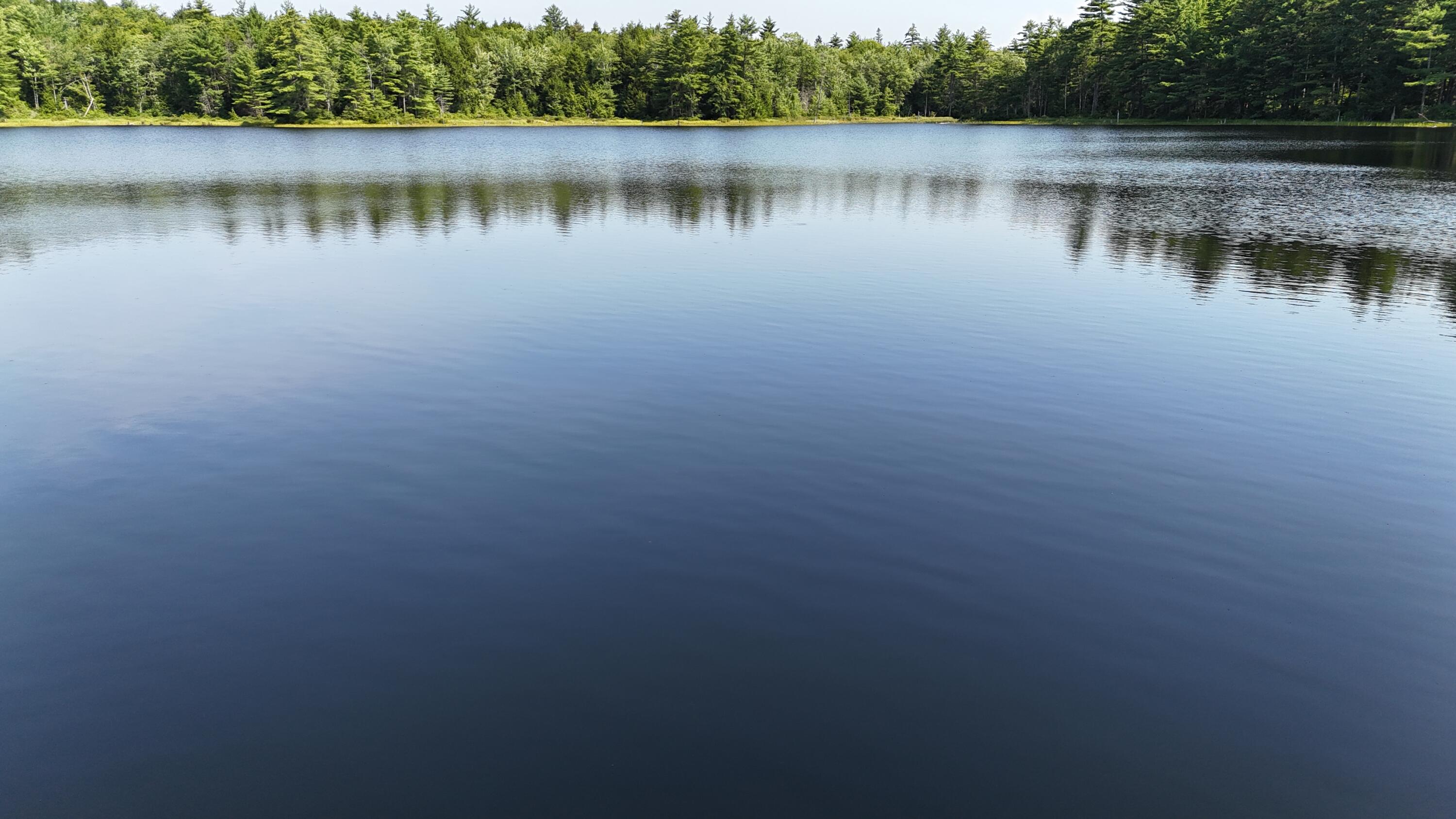 Lot 83-84 Off Jesse Ladd Road Vienna, ME 04360 - Photo 23 of 46 26acresOnDavisPond (25)