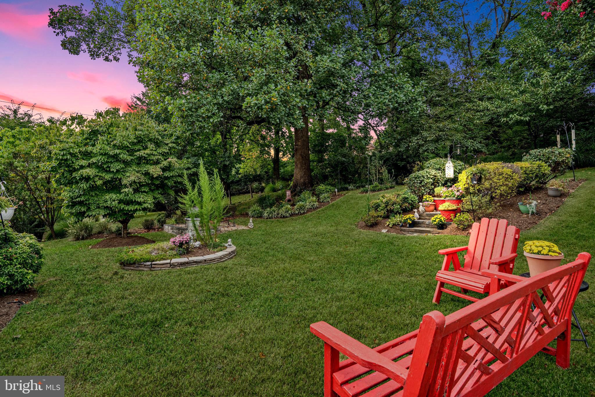 Level yard for enjoyment by 2 and 4 legged friends