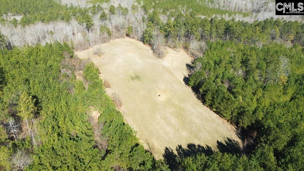 River Road Winnsboro, SC 29180 - Photo 7 of 20