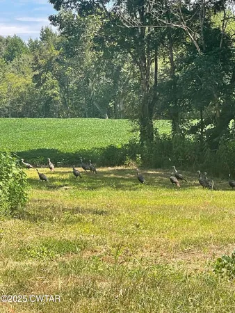 a view of a water fountain and a bench