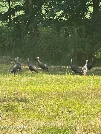 a backyard of a house with lots of green space and fountain