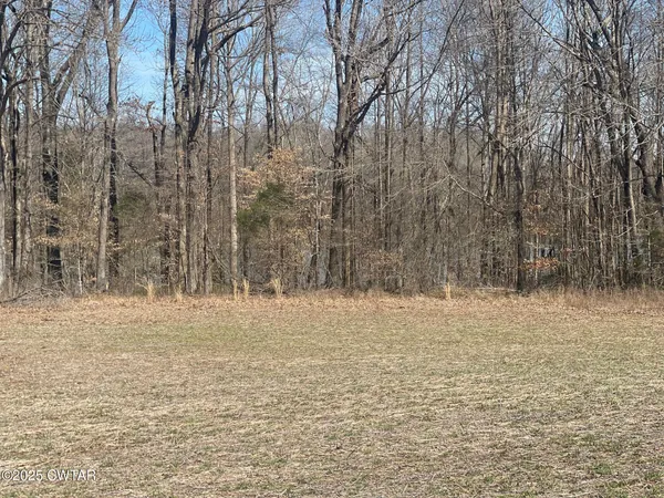 a view of a yard with trees