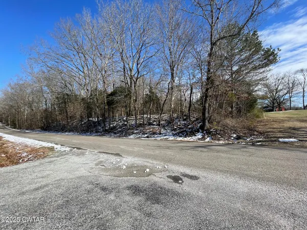 a view of road with with trees