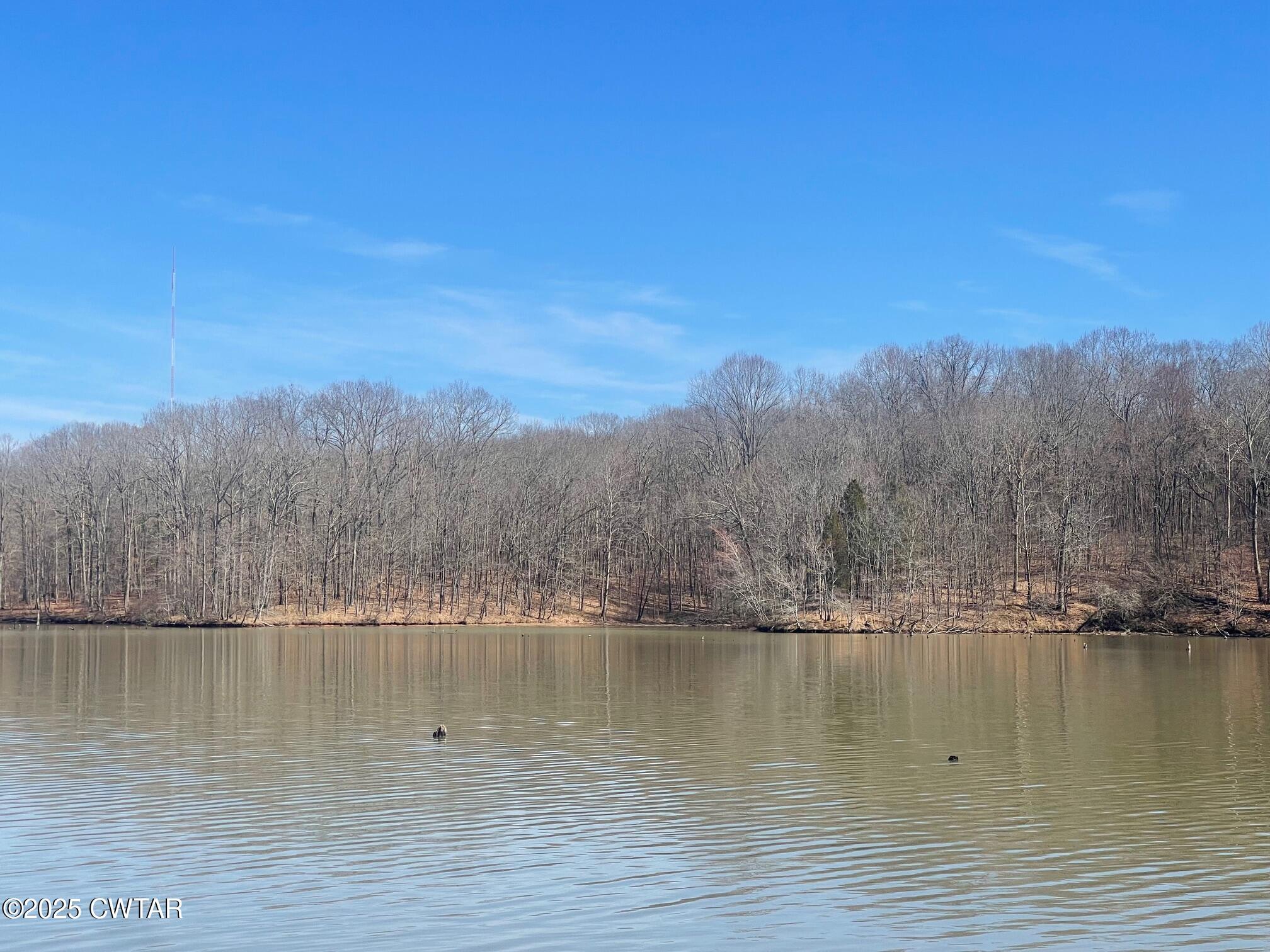 0 Cotton Grove Road Jackson, TN 38305 - Photo 22 of 26