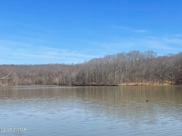 a backyard of a house with lots of trees