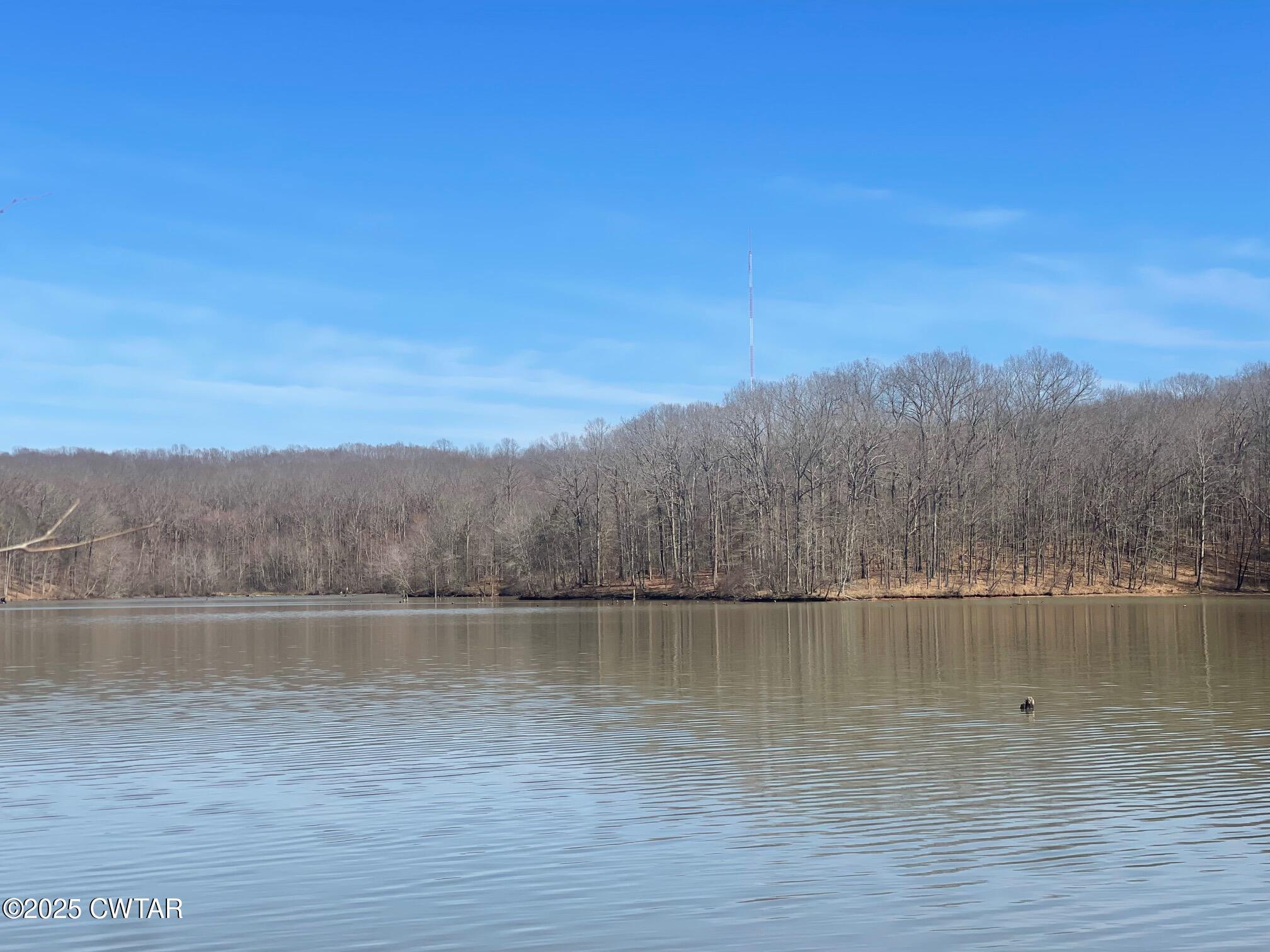 0 Cotton Grove Road Jackson, TN 38305 - Photo 23 of 26