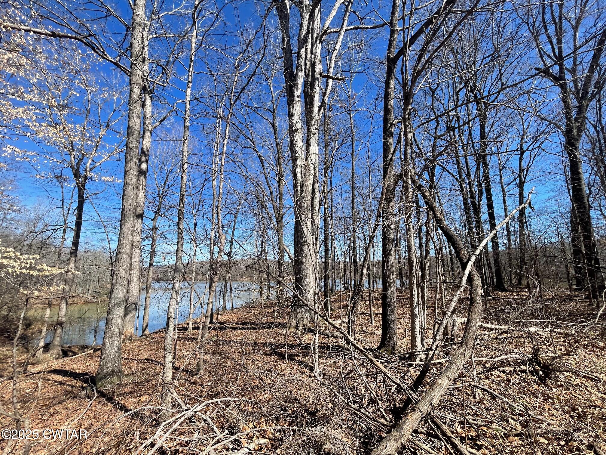 0 Cotton Grove Road Jackson, TN 38305 - Photo 24 of 26 a backyard of a house with lots of green space