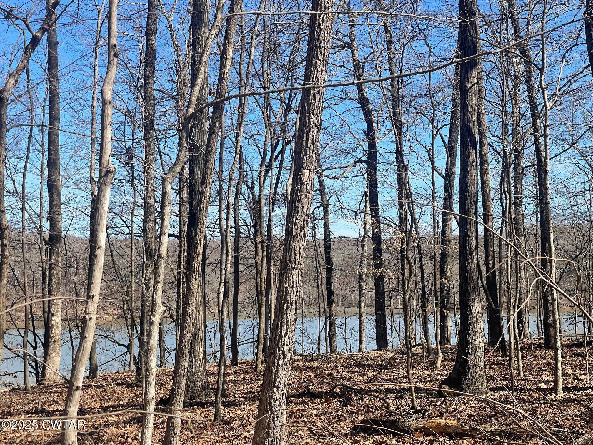 0 Cotton Grove Road Jackson, TN 38305 - Photo 25 of 26 a backyard of a house with lots of trees
