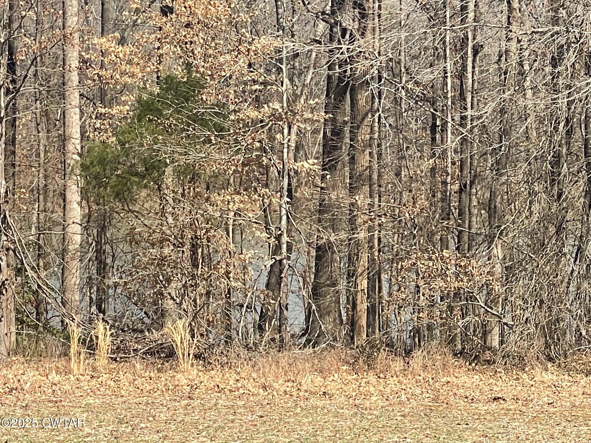 0 Cotton Grove Road Jackson, TN 38305 - Photo 26 of 26 view of a yard